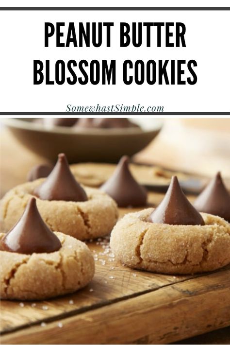 Peanut butter blossoms are an easy holiday cookie recipe that are filled with the delicious combination of peanut butter and chocolate. These cookies are made with just a few simple ingredients and make the perfect Christmas cookie recipe. Peanut Butter Kiss Cookies Recipe, Peanut Blossom Cookies, Kiss Cookie Recipe, Peanut Butter Blossoms Recipe, Peanut Butter Blossom, Peanut Butter Kiss, Peanut Butter Kiss Cookies, Butter Blossoms, Peanut Butter Blossom Cookies