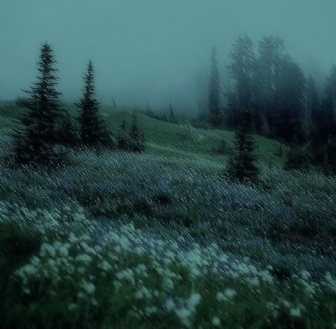 Abandoned Places In The World, Liminal Forest, Wallpaper Layout, Fairy Grunge Aesthetic, Dark Naturalism, Dark Forest Aesthetic, Dark Fairycore, Dark Green Aesthetic, Dark Nature Aesthetic