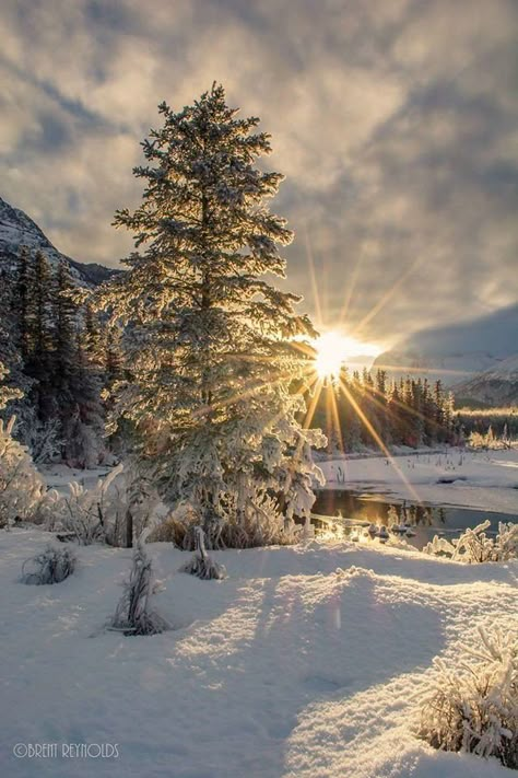 Winter Wallpapers, Winter Sunrise, Snowy Landscape, Scenery Pictures, Winter Sunset, Winter Photos, Winter Love, Winter Wallpaper, Winter Scenery