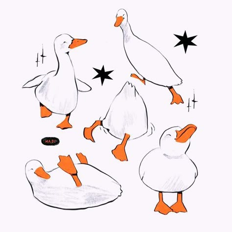 Pond Drawing, Goose Drawing, Duck Illustration, Duck Drawing, 동화 삽화, Duck Cartoon, Duck Art, Creative Drawing Prompts, Cartoon Sketches