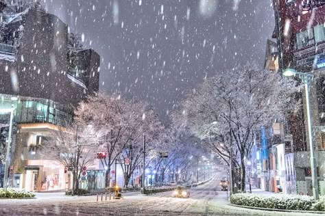 https://flic.kr/p/D5L8MC | Tokyo Snow 2016 | Snow on the streets of Tokyo's Harajuku neighborhood in January of 2016. These photos were taken in the early morning hours just before the sun came up. Winter Wallpaper Desktop, Winter In Japan, Japan Winter, Monte Fuji, Snowy Night, Computer Wallpaper Desktop Wallpapers, Christmas Backgrounds, Winter Background, Japan Aesthetic