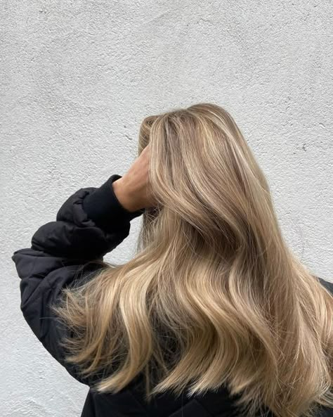 Long Blonde, Long Blonde Hair, Blonde Hair, A Woman, Blonde, Hairstyles, Wall, Hair, Beauty