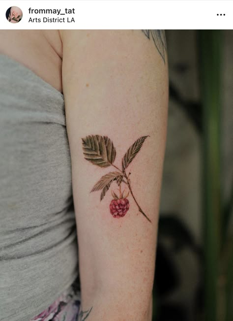 Raspberry Tattoo, Tattoo Design Reference, Leaf Tattoo, Raspberry Leaf, Flowers And Fruit, My Tattoos, Tat Ideas, Pretty Tattoos, Reference Images