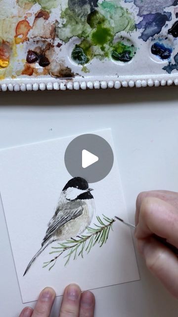 Emily Lex on Instagram: "I’ve been working on a few new illustrations for the Christmas season and this little chickadee is one of them!  A few things about this painting (and my painting style in general):  1. I use a photo for reference. It’s off to the side of the video, but it’s there. I need it to figure out how to sketch, how to shade, how to do proportions. There’s no shame in referencing a photo.  2. I paint in lots of layers, building up color, texture, contrast as I go. The paintings start so dull (because  I start with light colors first!) and as the darker shades are added, the artwork comes to life. That’s why watching to the end of the video is so satisfying.  3. I like painting small. I cut a piece of watercolor paper down to 5.5 x 4.25.   4. Sketching this birdie took me 4 Watercolor Birds Easy Step By Step, How To Paint A Chickadee, Watercolor Chickadee Tutorial, Watercolor Chickadee Paintings, Watercolor Christmas Cards Tutorial How To Paint, Milind Mulick Watercolors, Winter Birds Painting, Christmas Watercolor Tutorial, Watercolor Birds Easy