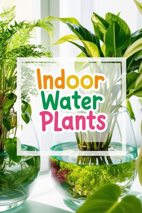 Bring the beauty of nature indoors with these 10 stunning indoor plants that thrive in water! Perfect for low-maintenance gardeners, these plants will grow beautifully without soil, offering you a hassle-free way to decorate your space. From vibrant pothos to elegant peace lilies, discover the best water-loving plants for your home. #IndoorPlants #PlantsInWater #WaterPlants #HousePlants #LowMaintenancePlants #EasyCarePlants #IndoorGarden #PlantLovers Plants That Live In Water, Pothos In Water, Indoor Hydroponic Gardening, Peace Lilies, Indoor Water Garden, Hydroponic Plants, Best Indoor Plants, Easy Care Plants, New Roots