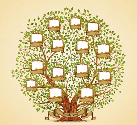 Family Tree Drawing Ideas, Time Capsule Kids, Tree Drawing Ideas, Family Tree Decal, Family Tree Images, Family Tree Drawing, Family Tree For Kids, Create A Family Tree, Family Tree Craft