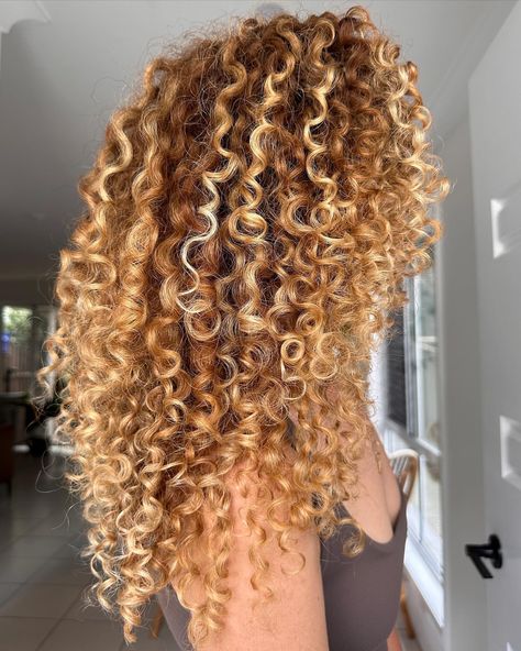 BRISBANE CURLS & BALAYAGE | PARIS MCELROY | Enhanced these beautiful natural ginger curls with hand painted balayage 🧡 Curly girl @abbyhalliwell Protected with @olaplex Glossed… | Instagram Copper And Blonde Highlights Curly Hair, Ginger Hair Blonde Highlights Curly, Ginger Curly Hair With Highlights, Strawberry Blonde Balayage Curly Hair, Curly Red Hair With Blonde Highlights, Highlights With Curly Hair, Blonde Balayage On Red Hair, Red And Blonde Curly Hair, Curly Hair Colour Ideas