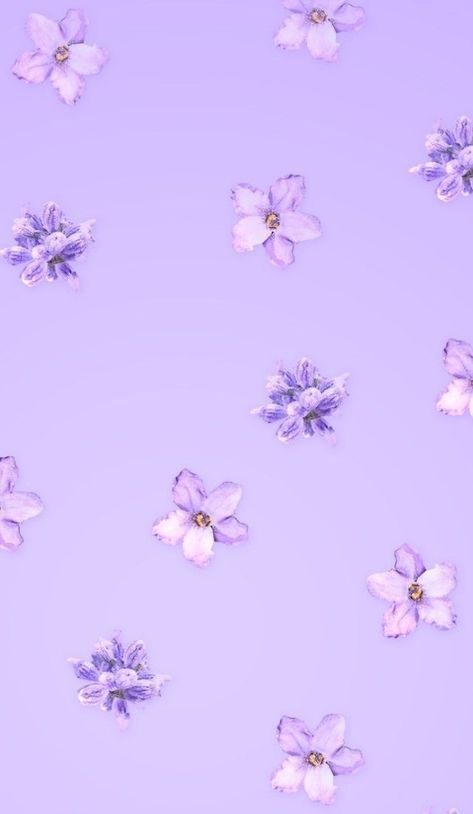 ✨𝚃𝚊𝚙𝚎𝚝𝚢✨ | Light purple wallpaper, Purple aesthetic background, Purple wallpaper phone Iphone Background Purple, Something Purple, Purple Glitter Wallpaper, 19 Wallpaper, Iphone Background Pink, Ipad Lockscreen, Light Purple Wallpaper, Watercolor Wallpaper Iphone, Purple Aesthetic Background