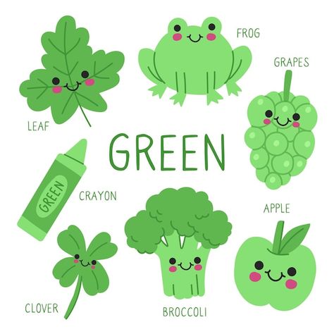 Things That Are Green Preschool, Green Objects For Kids, Green Preschool Activities, Things That Are Green, Kindergarden Activities English, Learning Colors Activities, Learn Colors For Kids, Preschool Color Activities, Color Lessons