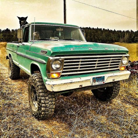 Sometimes you have to get your girl a little dirty. #repost #F100 #bumpside #FoMoCo #fordracing #builtfordtough #slammed #truckin #patina… Old Ford Trucks Vintage, 1970 Chevy Truck, Vintage Ford Trucks, Pretty Trucks, Country Trucks, Future Vehicles, Trucks Lifted Diesel, Ford Ranger Truck, Dream Trucks