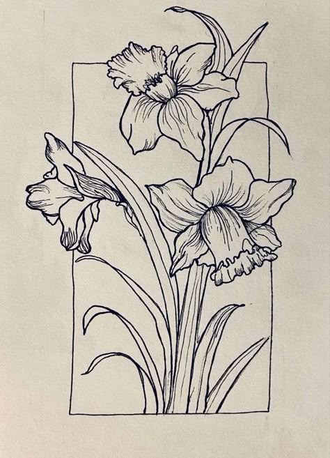 Narciss Flower Drawing, Flower Drawing Daffodil, Daffodils Drawing Simple, Daffodil Sketch Tattoo, Daphadil Flower Drawing, Daphodil Flower Drawing, Daffodil Coloring Pages, Drawing Of Daffodils, Daffodil Tattoo Drawing