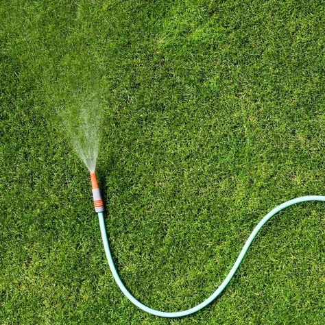 When Is the Best Time to Water My Grass? Car Window Repair, Front Of House Landscaping, Electrical Tips, Home Compost, Garden Grasses, Farm Tips, Growing Organic Vegetables, Small City Garden, Soaker Hose