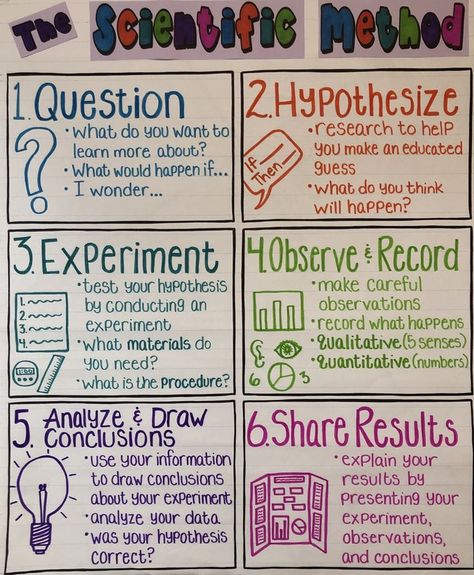 Science Projects Kids, Science Tools Anchor Chart, Scientific Method Anchor Chart, 4th Grade Science Projects, 8th Grade Science Projects, Kids Science Fair Projects, Elementary Science Fair Projects, Science Fair Board, Biology Teaching