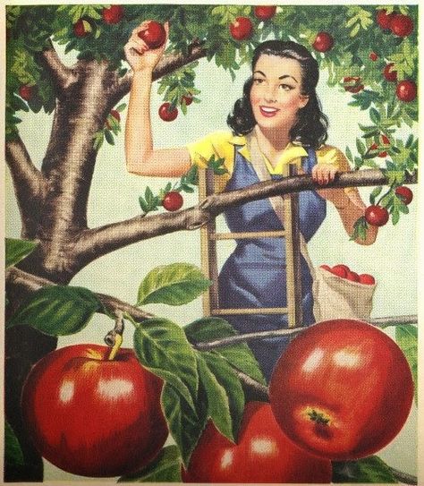 Apple Picking- Vintage Style! Apple Tree Illustration, Apple Pie Crust, Flamingo Pictures, Vintage Housewife, Garden Illustration, Vintage Apple, Illustration Vintage, Tree Illustration, Aprons Vintage