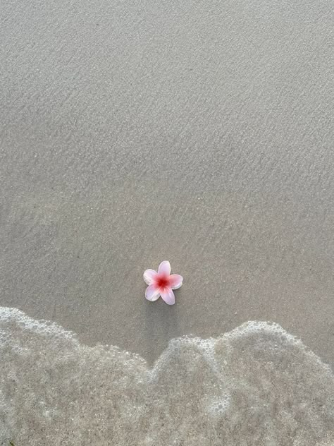 Beach And Flowers, Flowers Beach, Beach Flowers, Aesthetic Japan, Pinturas Disney, Iphone Wallpaper Girly, Holiday Pictures, Flower Phone Wallpaper, Pretty Wallpaper Iphone