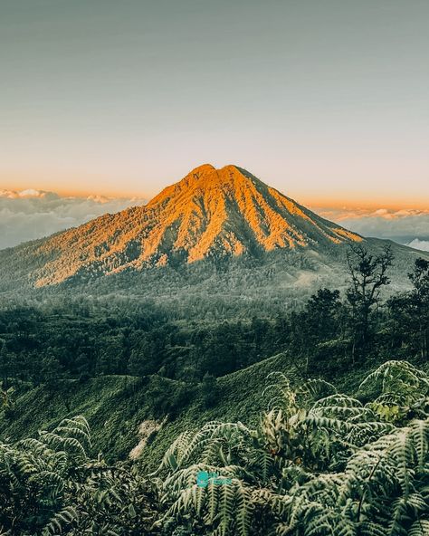 Book your Ijen Crater tour today and discover the wonders of this natural phenomenon for yourself! Book your Ijen Crater tour package, idntripper travel agent tour operator. link in bio! #Kawahljen #jenCrater #BlueFlame #Javalndonesia #VolcanoAdventure #NaturePhotography #TravelAsia #ClimbingMountains #TravelBucketList #EcoTourism #Landscapes #AdventureAwaits #ExploreTheWorld #NatureLovers #PhotographingVolcanoes #WickedFlames # sulfurMining #IndonesianNature #ScenicViews Ijen Crater, Blue Flames, Tour Operator, Natural Phenomena, Travel Agent, Tour Packages, Scenic Views, Adventure Awaits, Travel Bucket List