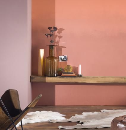 Jungle Ginger 5 | Dulux Dulux Copper Blush Living Room, Copper Blush Bedroom, Copper Blush Dulux Paint, Terracotta Office, Apricot Room, Dining Room Colours, Tuscan Terracotta, Painter Decorator, Wall Art Quotes Bedroom