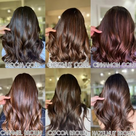 Tint Hair Color For Short Hair, Hair Colour For Indian Skin Long Hair, Full Hair Color, Brown Hair Colors For Indian Skin, Hair Colour For Filipino Skin, Pakistani Hair Color Ideas, Coco Brown Hair Color, Cocoa Brown Hair Color, Hair Colouring For Indian Skin Tone