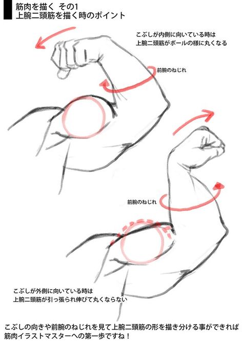 Biceps and flexes. Arm Amputee Character Design, Anatomy Tutorial, Human Anatomy Drawing, Body Drawing Tutorial, Hand Drawing Reference, Human Figure Drawing, Human Anatomy Art, Anatomy Sketches, Body Reference Drawing