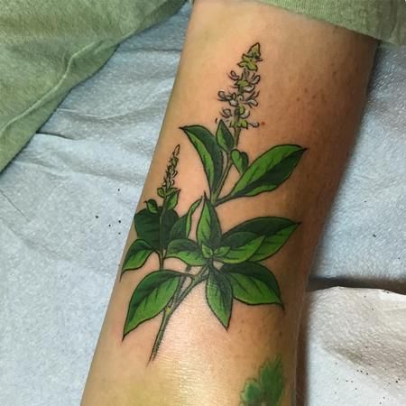 Basil Plant Tattoo, Basil Flower Tattoo, Basil Tattoo, Herb Tattoo, Lisa Tattoo, Chef Tattoo, Mint Flower, Mint Flowers, Family Tattoo