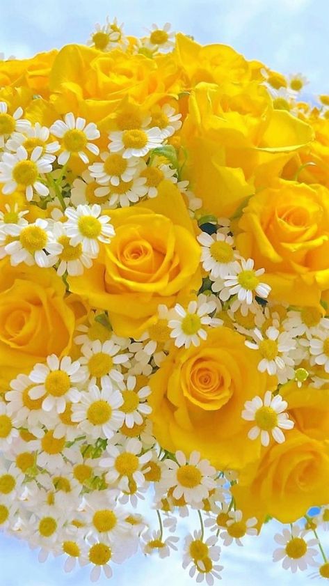 Yellow Rose Bouquet, Top Flowers, Yellow Rose Flower, Pineapple Wallpaper, Luxury Flower Bouquets, Good Morning Flowers Pictures, Cute Flower Wallpapers, Rare Flowers, Beautiful Bouquet Of Flowers