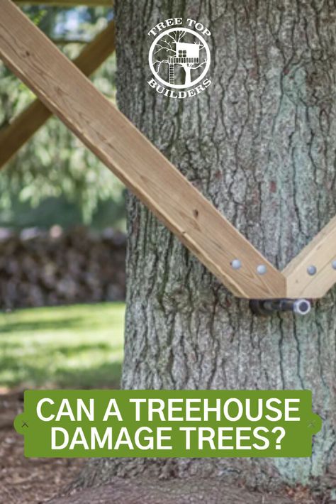 While the answer to whether a treehouse can damage a tree may be yes, the reality is more nuanced and dependent on various factors. The type of tree, its location, and the methods used in constructing the treehouse all play a role in the level of damage that can occur. Check out our blog ⬇️ https://treetopbuilders.net/blogs/tree-house-blog/can-a-treehouse-damage-trees Pallet Tree Houses Diy, Treehouse Masters Pete Nelson Tree Houses, Easy Tree House Diy Backyard, How To Build A Treehouse, Platform Treehouse For Kids, Easy Tree House Diy, Tree Walkway, Small Treehouse, Diy Tree House