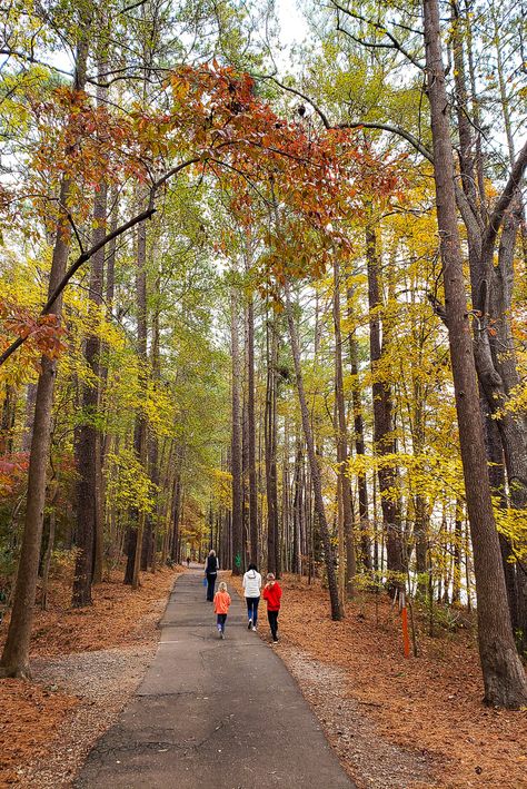 Looking for things to do in Raleigh in the fall? Check out this list of things to see and do, where to taste season drinks and treats, where to see fall foliage, pumpkin patches, events, and much more. #Raleigh #NorthCarolina #falltravel #fall Things To Do In North Carolina Fall, North Carolina Raleigh, Things To Do In Raleigh Nc, Raleigh North Carolina Aesthetic, Months Aesthetic, North Carolina Fall, Campbell University, Visit North Carolina, Aesthetic 2023