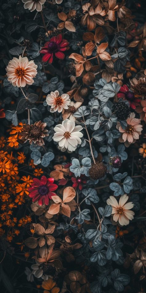 Dark Academia Aesthetic Butterfly, Hipster Aesthetic Wallpaper, Moody Autumn Wallpaper, Vintage Floral Iphone Wallpaper, Pics To Put On Your Wall, Floral Wallpaper Iphone Hd, Dark Cute Wallpaper Backgrounds, Dark Floral Wallpaper Iphone, Fall Flower Wallpaper