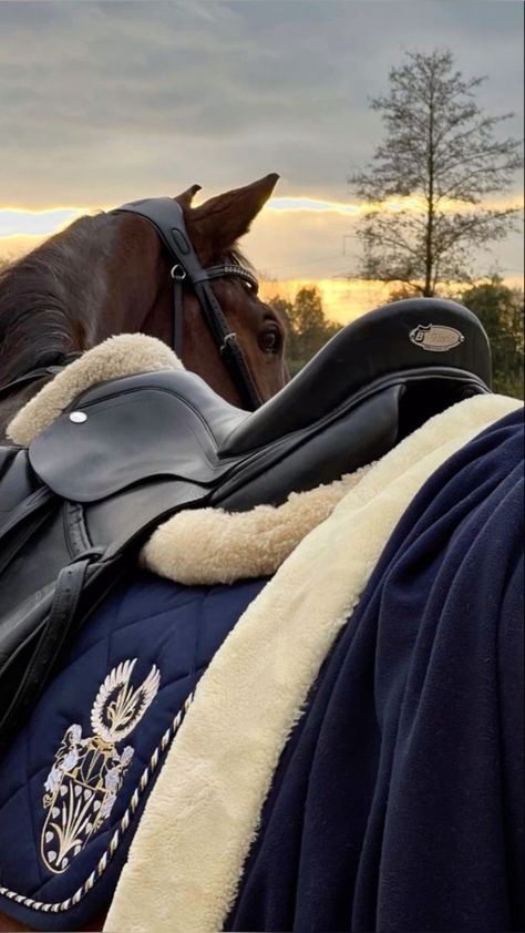 Horses Beautiful, Horse Life, Old Money Style, Polo Club, Old Money Aesthetic, Horse Riding, Photo Inspo, Polo Ralph Lauren, The Beauty