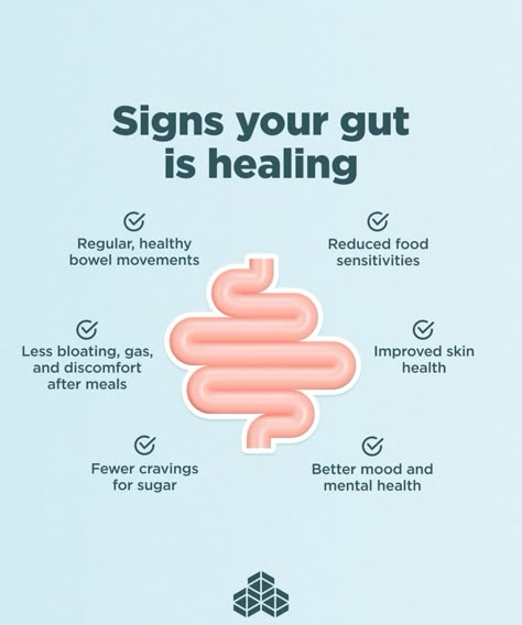 : Is your gut feeling happier? 😊 These could be signs your gut is healing! From improved digestion to clearer skin, your body is thanking you for the gut love. Have you noticed any changes? Share your gut health journey in the comments! 👇 #guthealth #guthealing #digestivehealth #wellness #healthylifestyle #mentalhealth #skincare #probiotics #nutrition #selfcare Gut Health Vitamins, Gut Healing Foods List, Gut Health Lunch, Gut Health And Hormones, Healing Gut Health, How To Heal Your Gut, Gut Health Illustration, Eating For Gut Health, Gut Health Aesthetic