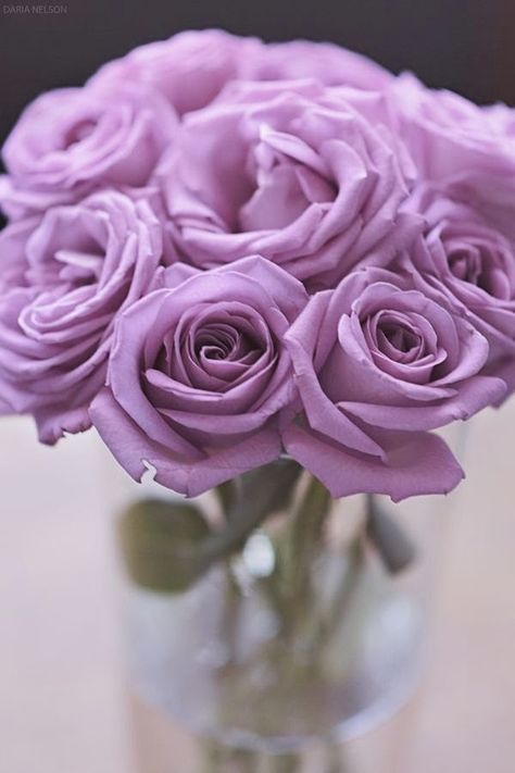 All About Women's Things: Rose Meanings Explained Rose Meaning, Rose Belle, Inspiration Tattoos, Lilac Roses, Pastel Decor, Roses Pink, Lovely Lavender, Language Of Flowers, Lavender Roses