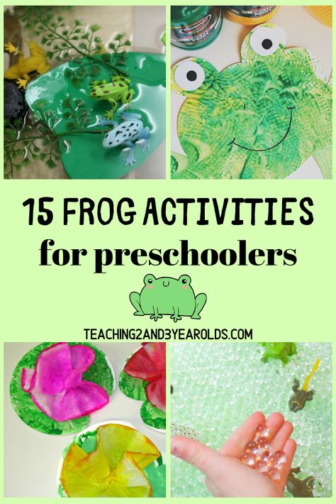 Looking for fun preschool frog activities? This collection includes 15 hands-on ideas that include art, sensory and science! #frogs #science #art #sensory #finemotor #preschool #toddlers #age2 #age3 #age4 #printables #teaching2and3yearolds Frog Activities For Preschool, Frog Theme Preschool, Frog Crafts Preschool, Pond Activities, Pond Life Theme, Frogs Preschool, Frog Activities, Pond Animals, Lifecycle Of A Frog