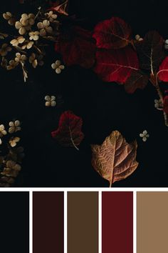 Dark And Moody Color Scheme, Dark Autumn Wedding Colors, Red Color Palette Living Room, Dark And Colorful Aesthetic, Red Brown Gold Color Palette, Autumn Color Bedroom Ideas, Dark Gothic Color Palette, Dark Fall Palette, Anagolous Color Scheme