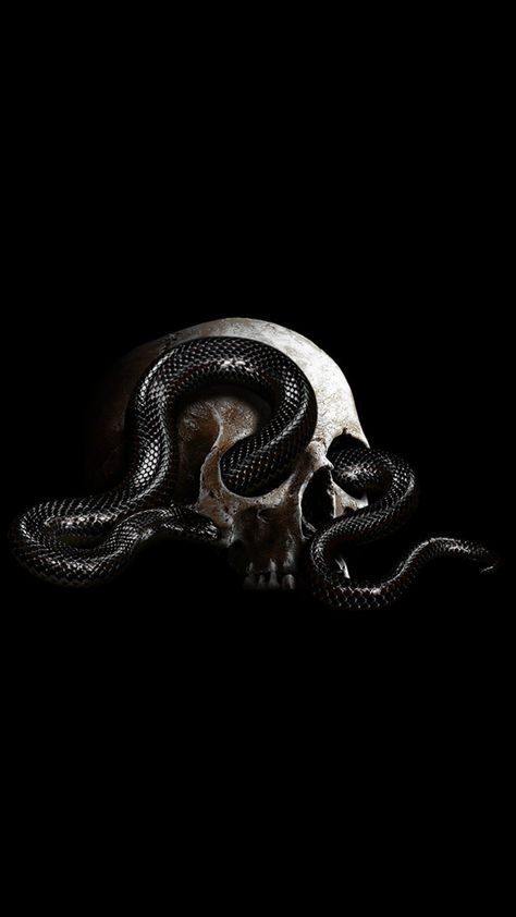 Snake Book Cover, Greek Dark Aesthetic, Black Snake Wallpaper Aesthetic, Dark Snake Aesthetic, Black Snake Aesthetic, Dark Book Cover, Angel By The Wings, Skull With Snake, Snake And Flowers