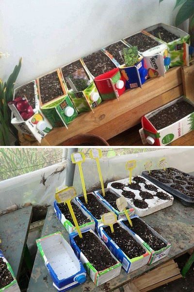 Plantarea Legumelor, Juice Carton, Small Vegetable Gardens, Theme Nature, Container Gardening Vegetables, Upcycled Crafts, Diy Plants, Fun Crafts For Kids, Growing Plants