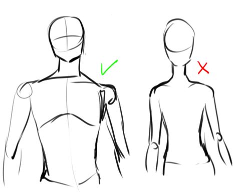 How To Draw Males Bodies, Male Body Drawing, Male Anatomy, Male Torso, Body Sketches, Body Reference Drawing, Body Anatomy, Drawing For Beginners, Poses References