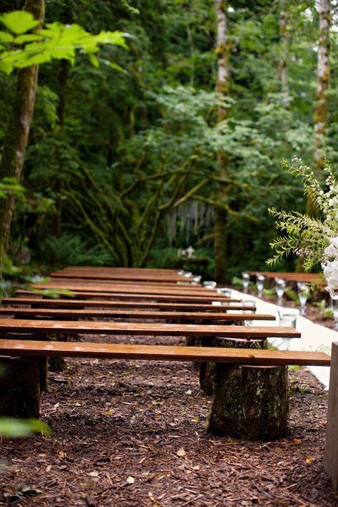 Might be a good alternative to our hay bale idea?! Rustic-Wood-Benches-Wedding-Ceremony Hay Bale Ideas, Rustic Purple Wedding, Wedding Bench, Rustic Wood Bench, Wedding Ceremony Seating, Wedding Autumn, Wedding Ceremony Ideas, Outdoor Trees, Ceremony Seating