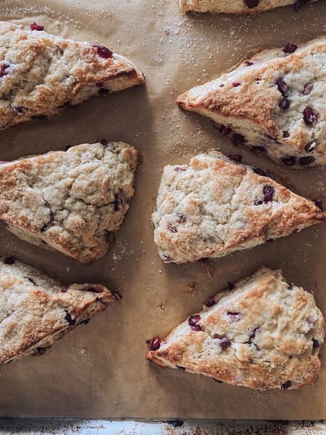 Pomegranate Scones — Kaylee Stevie Bread Boxes, Scone Recipe, Pomegranate Seeds, Breakfast Foods, Winter Months, Recipes To Make, Scones, Pomegranate, Fall And Winter