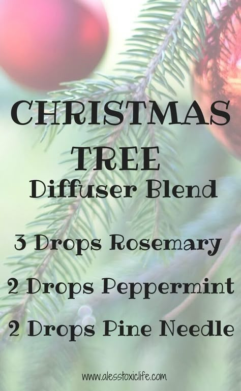 Holiday Diffuser Blends, Pine Needle Essential Oil, Christmas Diffuser Blends, Diffuser Scents, Smells Like Christmas, Wintergreen Essential Oil, Essential Oil Combinations, Essential Oils Blends, Essential Oil Diffuser Blends Recipes