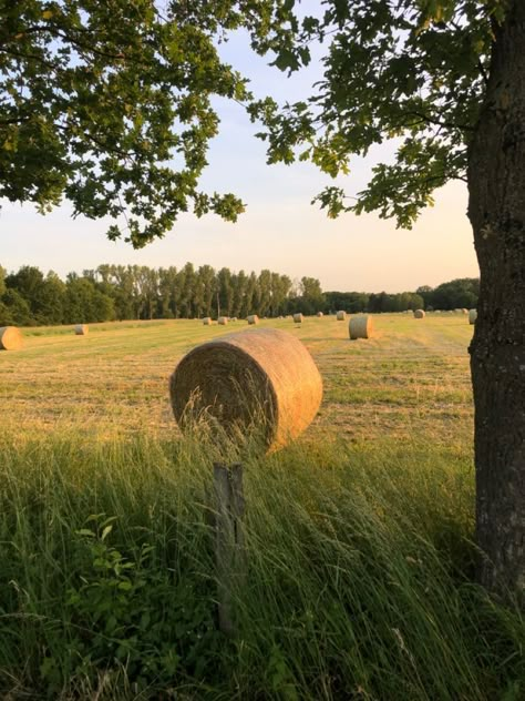 Small Town Aesthetic Cottagecore, Rural City Aesthetic, Rural Small Town Aesthetic, Rural Summer Aesthetic, Midwest Farm Aesthetic, Summer Midwest Aesthetic, Small City Aesthetic, Small Town Summer Aesthetic, Small Town Photography