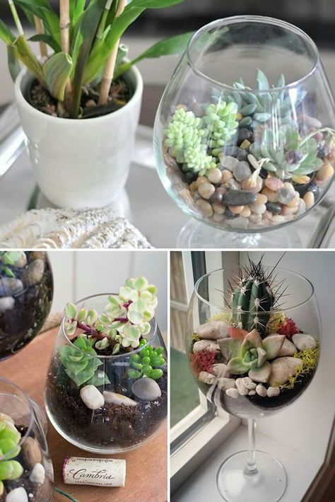 Raised Herb Garden, Water Bottle Crafts, Succulent Bowls, Liquor Bottle Crafts, Frosted Glass Design, Green Stuff, Garden Terrarium, Self Watering Planter, Glass Bottle Crafts