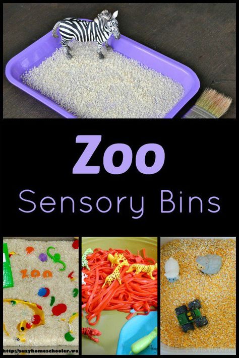 A roundup of zoo sensory bins for kids! Great addition to any zoo unit for preschoolers! Zoo Animals Sensory Bin, Zoo Art For Toddlers, Zoo Sensory, Zoo Lessons, Preschool Zoo Theme, Zoo Preschool, Zoo Crafts, Zoo Zoo, Zoo Activities