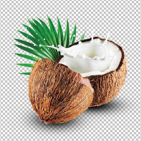 Coco Png, Coconut Images, Pili Nut, Juice Splash, Coconut Leaves, Coconut Soap, Coconut Dream, Dream Cream, Coconut Caramel