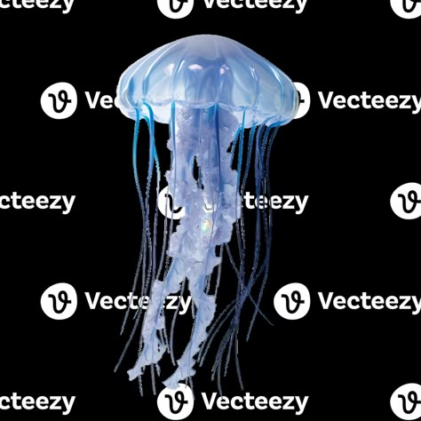 AI generated jellyfish on transparent background Jellyfish Png Icon, Jellyfish Oc Art, Ocean Png Aesthetic, Widget Icon Transparent, Transparent Widget Icons, Jellyfish White Background, Cute Transparent Icons, Transparent Background Icons, Fish Widget