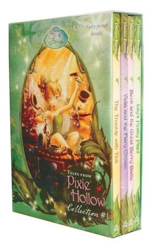 Box Set Books, Tinkerbell And Friends, Hollow Book, Fairy Crown, Pixie Hollow, Disney Fairy, Friend Book, Disney Books, Disney Fairies