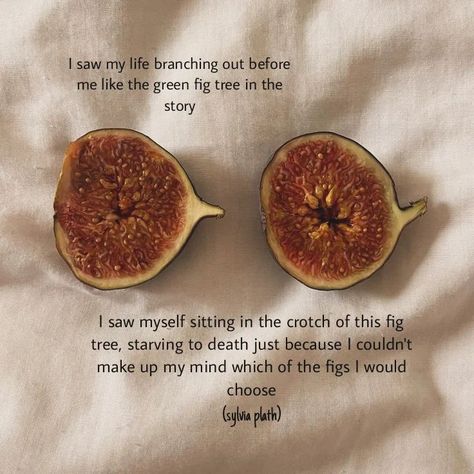 From "the bell jar" #writingaccounts#PoetryCommunity#PoetryLovers#PoetryIsNotDead #thebelljar#sylviaplath The Bell Jar Art, Sylvia Plath Quotes Bell Jar, The Bell Jar Aesthetic, The Bell Jar Quotes, Plath Poems, Text Imagines, Proverbs 16 3, Love Jar, The Bell Jar