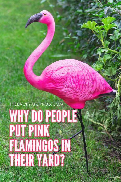 Unlock the mystery behind the iconic pink flamingos dotting yards everywhere! 🌸 Dive into the fascinating history and quirky reasons why these flamboyant birds have become a staple of suburban landscapes. From kitschy charm to hidden symbolism, discover why people just can't resist adding a touch of whimsy to their outdoor décor with these fabulous feathered friends. Let's unravel the allure together! #PinkFlamingos #YardDecor Pink Flamingo Yard Decor, Flamingo Garden Ideas, Flamingo Outdoor Decor, Pink Flamingo, Flamingo Yard Decor, Pink Flamingo Craft, Flamingo Bathroom Decor, Pink Flamingos Lawn Ornaments, Flamingo Yard Art