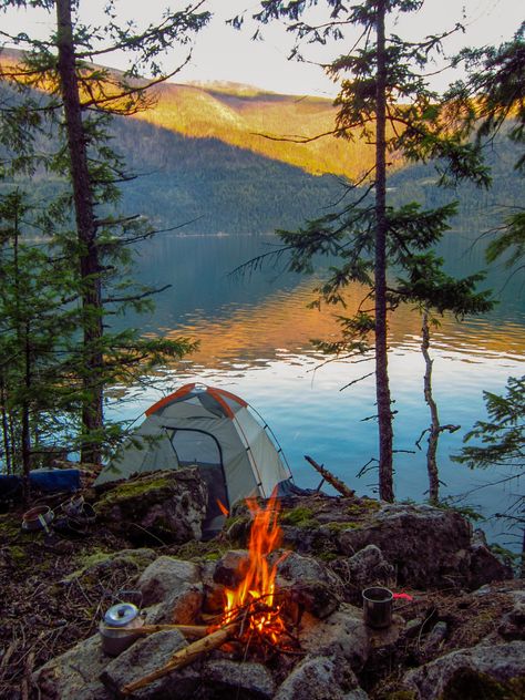 🇨🇦 Campsite (Slocan, BC) by Katie - 凯迪 Lakeside Camping, Camping Photo, Camping Inspiration, Camping Aesthetic, Camping Photography, Festival Camping, Image Nature, Camping Locations, Camping Spots