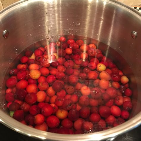 Wild Sand Plum Jelly - Acre Life Food Preservation How To Make Wild Plum Jelly, Sandhill Plum Jelly Recipe, Wild Plum Jelly Recipe Easy, Sandhill Plum Recipes, Sand Plum Jam Recipe, Sand Hill Plum Jelly Recipe, Sand Plum Jelly, Sand Plum Recipes, Plum Jelly Recipes For Canning