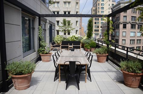 Smyth, A Thompson Hotel - Tribeca Rustic Balcony, Roof Top Gardens, Roof Top Garden, Apartment Balcony Garden, Rooftop Gardens, Garden Apartment, Roof Gardens, Backyard Garden Landscape, Small Backyard Gardens